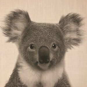 Meet your Posher, Karen